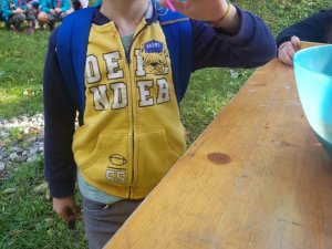 Anno scout 2020-21