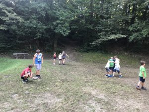 Anno scout 2019-20