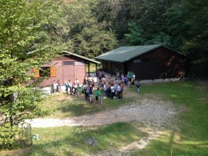 Anno scout 2013-14