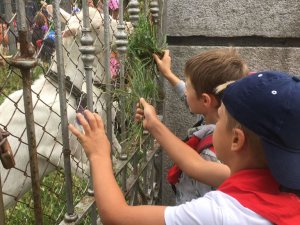 img-20170806-wa0012