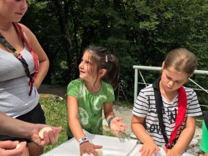 img-20170806-wa0020