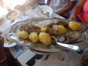 dscn0300_r