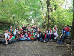 Anno scout 2018-19