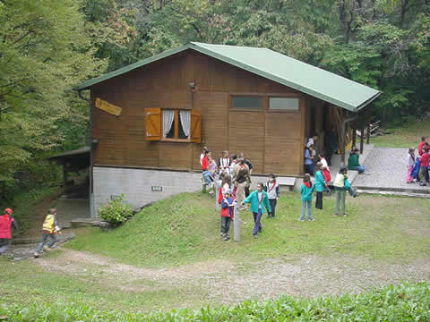 sedi golbina